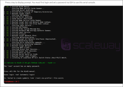 Screenshot of console showing root session
